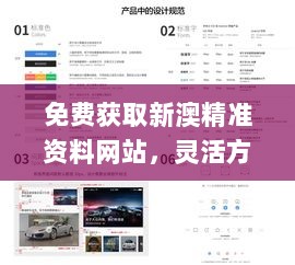 免费获取新澳精准资料网站，灵活方案设计_BAP3.63.80版本