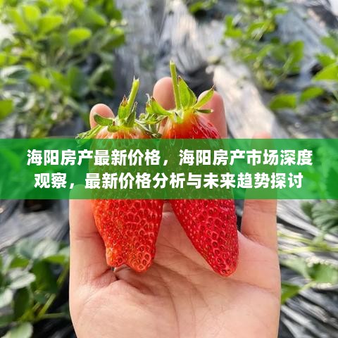 海阳房产市场深度观察，最新价格分析与未来趋势探讨