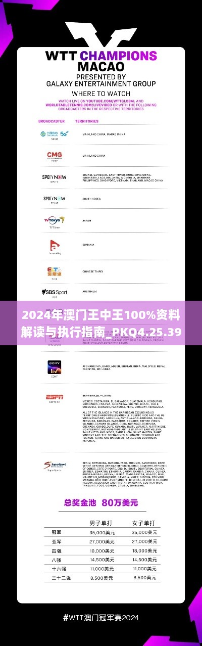 2024年澳门王中王100%资料解读与执行指南_PKQ4.25.39中版