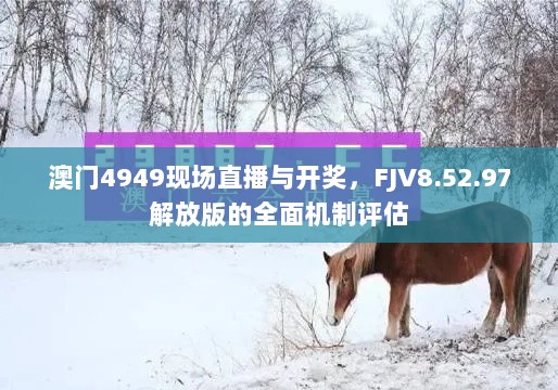 澳门4949现场直播与开奖，FJV8.52.97解放版的全面机制评估