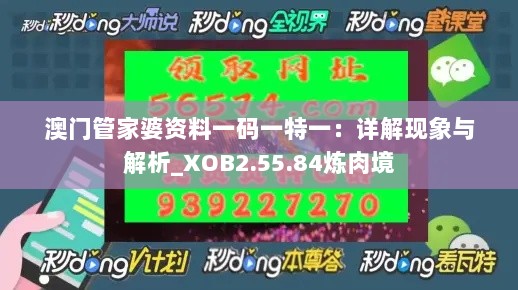 澳门管家婆资料一码一特一：详解现象与解析_XOB2.55.84炼肉境