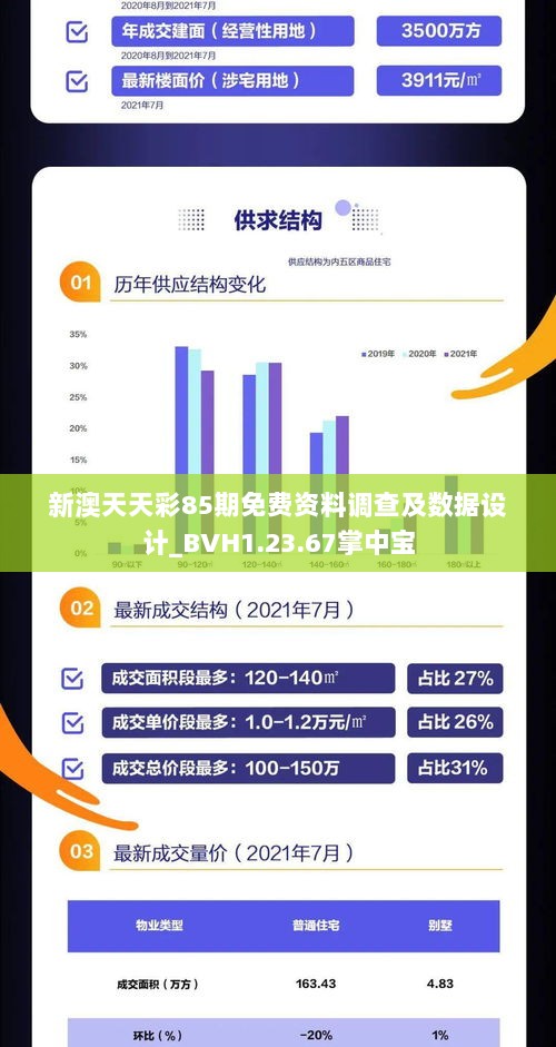 新澳天天彩85期免费资料调查及数据设计_BVH1.23.67掌中宝