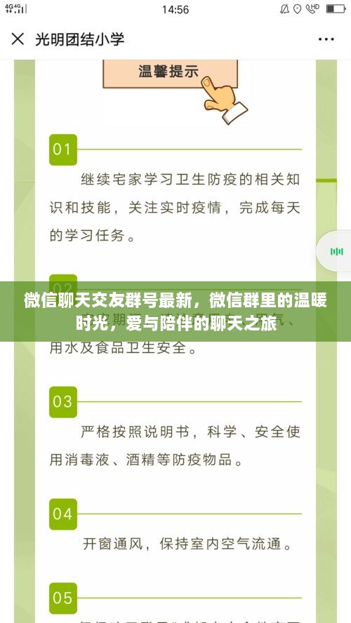 微信群号分享，爱与陪伴的聊天之旅中的温暖时光