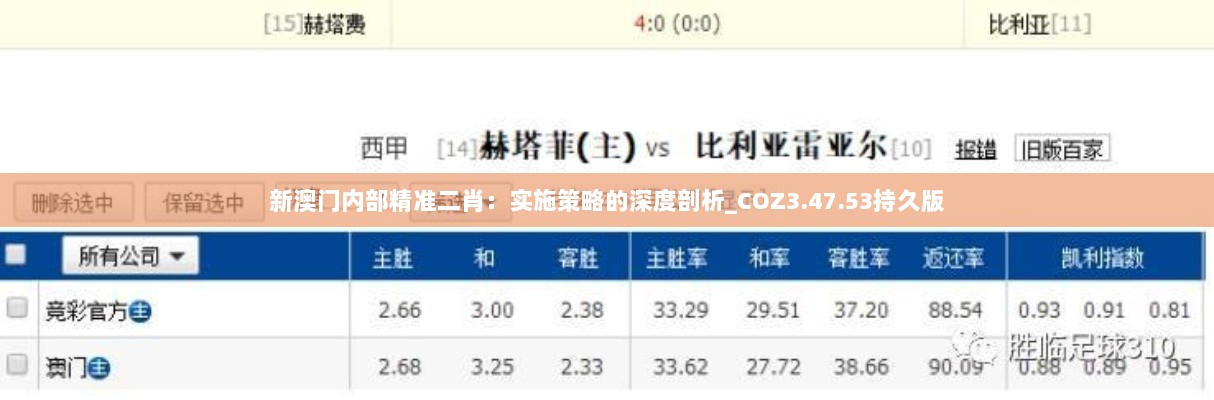 新澳门内部精准二肖：实施策略的深度剖析_COZ3.47.53持久版