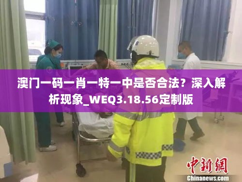 澳门一码一肖一特一中是否合法？深入解析现象_WEQ3.18.56定制版