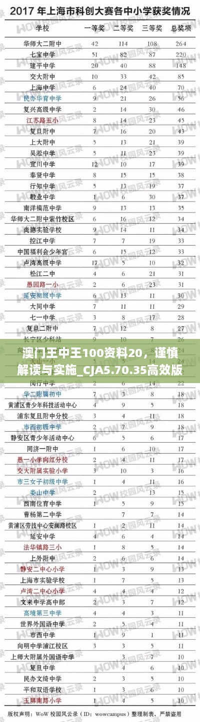 澳门王中王100资料20，谨慎解读与实施_CJA5.70.35高效版