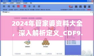 2024年管家婆资料大全，深入解析定义_CDF9.28.79原型版本