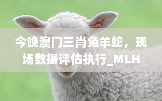 今晚澳门三肖兔羊蛇，现场数据评估执行_MLH8.24.65速成版