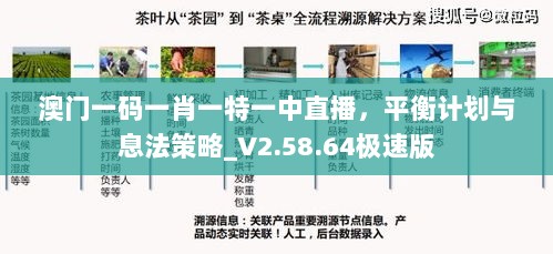 澳门一码一肖一特一中直播，平衡计划与息法策略_V2.58.64极速版