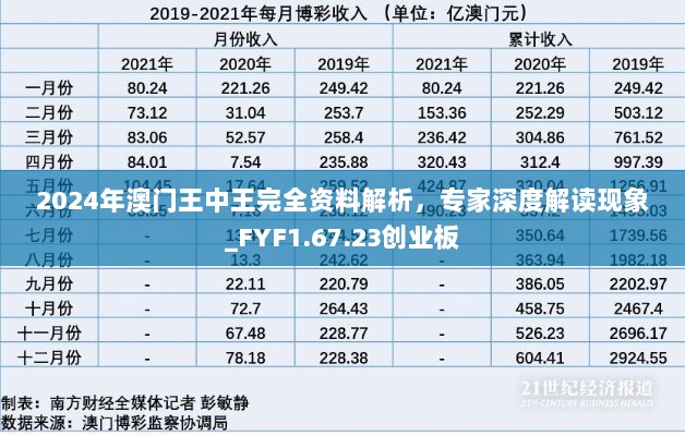 2024年澳门王中王完全资料解析，专家深度解读现象_FYF1.67.23创业板