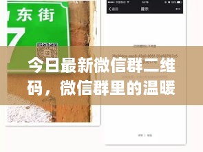 微信群里的温暖时光，最新二维码的趣事与情感纽带