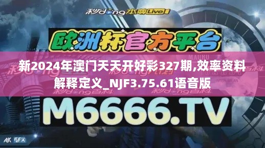 新2024年澳门天天开好彩327期,效率资料解释定义_NJF3.75.61语音版