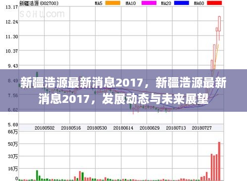 新疆浩源2017年发展动态与未来展望