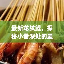 探秘小巷深处的独特美食之旅，最新龙纹鲤