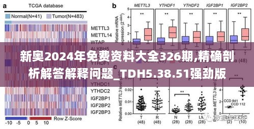 新奥2024年免费资料大全326期,精确剖析解答解释问题_TDH5.38.51强劲版