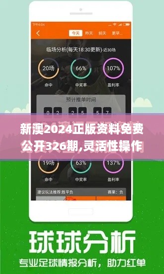 新澳2024正版资料免费公开326期,灵活性操作方案_NSW9.19.55升级版