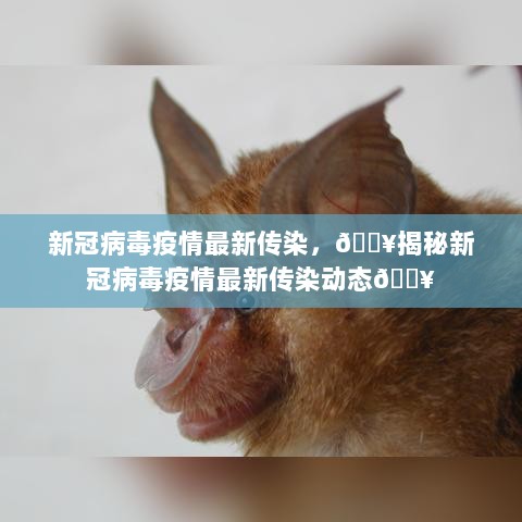 揭秘新冠病毒疫情最新传染动态，全球疫情最新进展分析