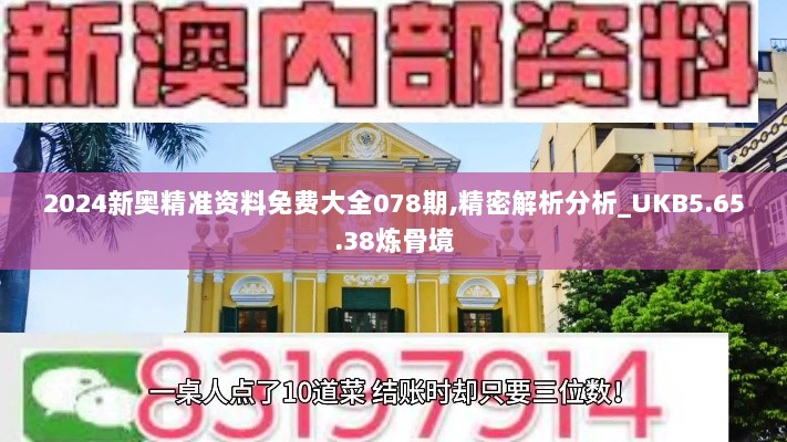 2024新奥精准资料免费大全078期,精密解析分析_UKB5.65.38炼骨境