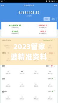 2023管家婆精准资料大全免费,高效计划策略转化_DKZ9.70.39炼髓境