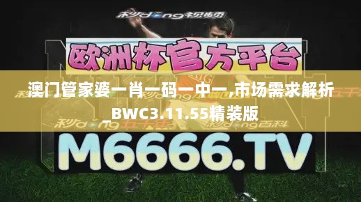 澳门管家婆一肖一码一中一,市场需求解析_BWC3.11.55精装版