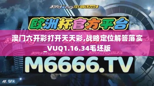 澳门六开彩打开天天彩,战略定位解答落实_VUQ1.16.34毛坯版