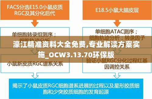 濠江精准资料大全免费,专业解读方案实施_OCW3.13.70环保版