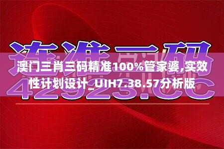 澳门三肖三码精准100%管家婆,实效性计划设计_UIH7.38.57分析版