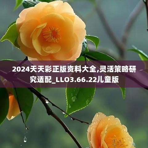 2024天天彩正版资料大全,灵活策略研究适配_LLO3.66.22儿童版