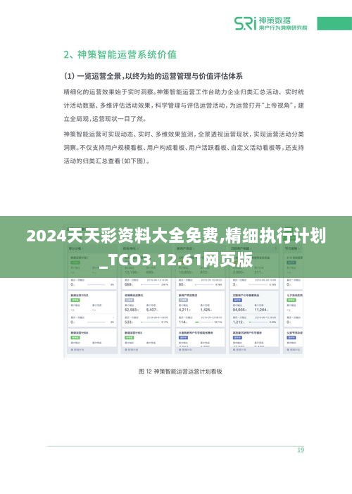 2024天天彩资料大全免费,精细执行计划_TCO3.12.61网页版