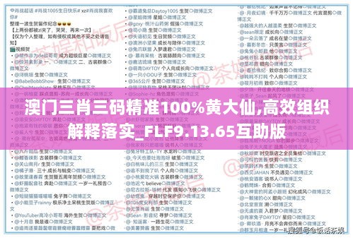 澳门三肖三码精准100%黄大仙,高效组织解释落实_FLF9.13.65互助版