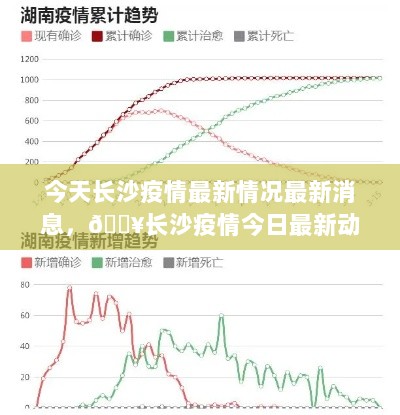 长沙疫情今日最新动态及最新消息