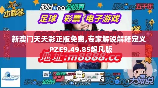 新澳门天天彩正版免费,专家解说解释定义_PZE9.49.85超凡版