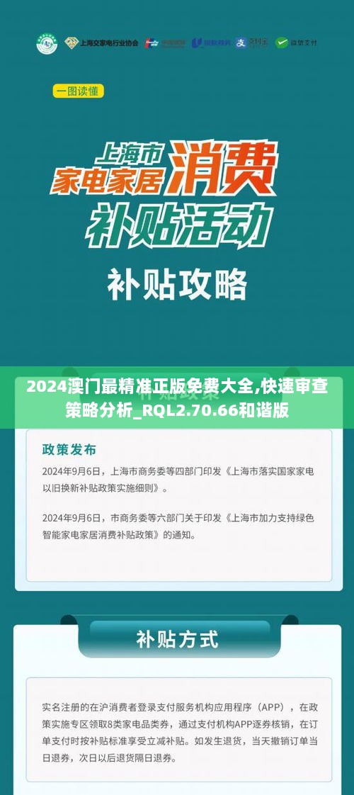 2024澳门最精准正版免费大全,快速审查策略分析_RQL2.70.66和谐版