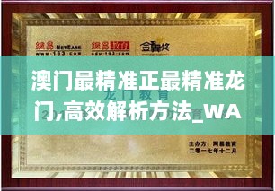 澳门最精准正最精准龙门,高效解析方法_WAB5.26.60抗菌版