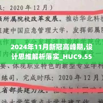 2024年11月新冠高峰期,设计思维解析落实_HUC9.55.74多维版