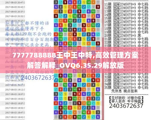 7777788888王中王中特,高效管理方案解答解释_OVQ6.35.29解放版