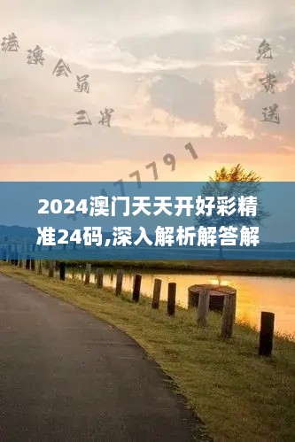 2024年11月21日 第31页