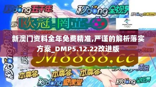 新澳门资料全年免费精准,严谨的解析落实方案_DMP5.12.22改进版