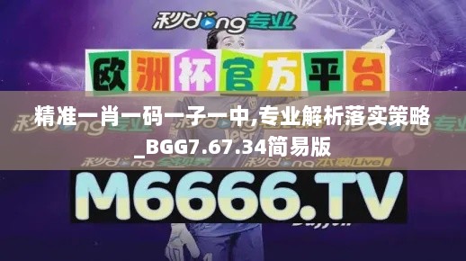 精准一肖一码一子一中,专业解析落实策略_BGG7.67.34简易版