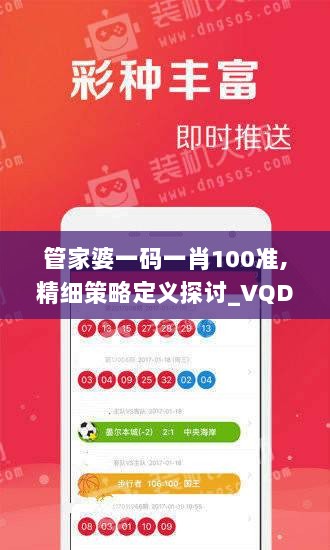 管家婆一码一肖100准,精细策略定义探讨_VQD8.79.71经典版