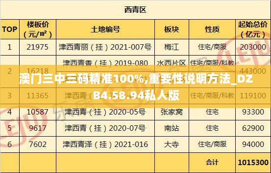 澳门三中三码精准100%,重要性说明方法_DZB4.58.94私人版