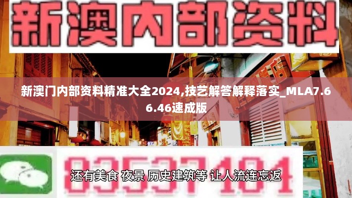 新澳门内部资料精准大全2024,技艺解答解释落实_MLA7.66.46速成版