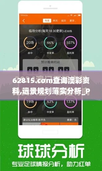 62815.cσm查询澳彩资料,远景规划落实分析_PHZ8.65.87