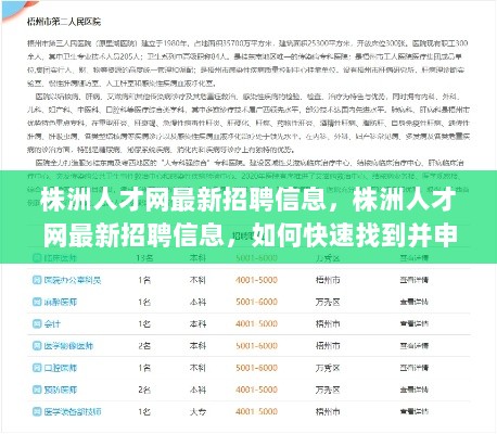 如何快速找到并申请理想职位的步骤指南——基于株洲人才网最新招聘信息