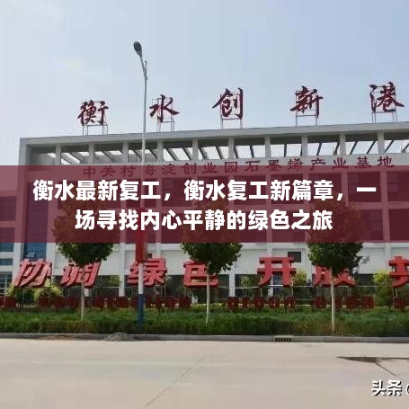 衡水复工新篇章，寻找内心平静的绿色之旅