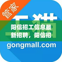 阳信招工新动向，时代变迁下的劳动力市场新篇章