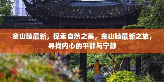 金山睦最新之旅，探索自然之美，寻找内心的平静与宁静