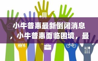 小牛普惠最新倒闭消息及困境解析