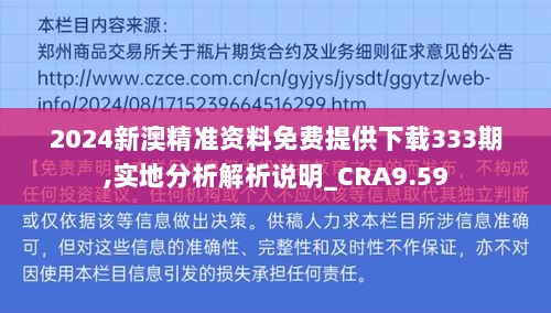 2024新澳精准资料免费提供下载333期,实地分析解析说明_CRA9.59