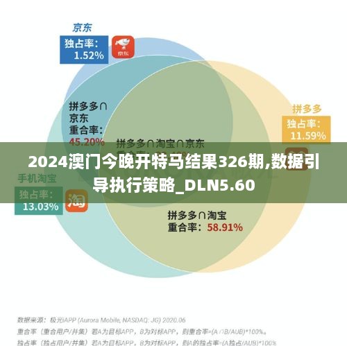 2024澳门今晚开特马结果326期,数据引导执行策略_DLN5.60